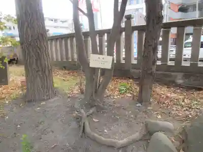 志演尊空神社(東京都)