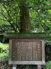 武蔵二宮 金鑚神社(埼玉県)