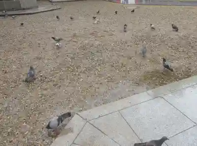 大須観音 (北野山真福寺宝生院)(愛知県)