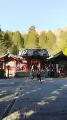 箱根神社の本殿