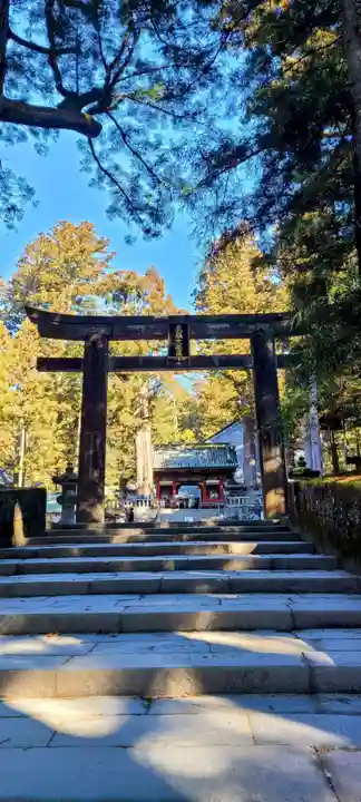日光東照宮(栃木県)