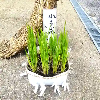 七重浜海津見神社(北海道)