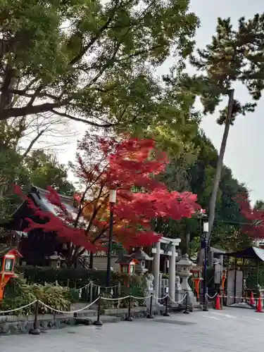 八坂神社(祇園さん)(京都府)
