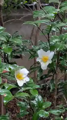 城南宮(京都府)