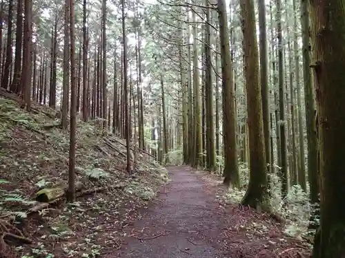 名草厳島神社の周辺