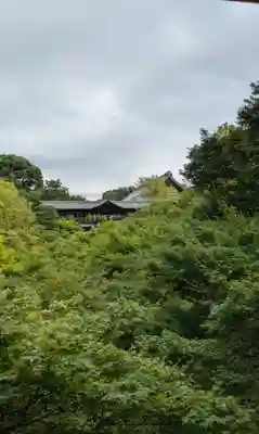 東福禅寺(東福寺)(京都府)