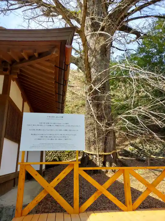 天河大辨財天社の{uncategorized: "未分類", other: "その他", undefined: "問題あり", building: "その他建物", grave: "お墓", sacred_gate: "鳥居", guardian: "狛犬", statue: "像", buddha: "仏像", history: "歴史", nature: "自然", garden: "庭園", animal: "動物", pagoda: "塔", temizu: "手水舎", mountain_gate: "山門・神門", sanctuary: "本殿・本堂", subordinate: "末社・摂社", art: "芸術", scenery: "景色", jizo: "地蔵", ema: "絵馬", goshuin: "御朱印", omikuji: "おみくじ", items: "授与品その他", amulet: "お守り", goshuincho: "御朱印帳", eats: "食事", festival: "お祭り", votive_dance: "神楽", shichigosan: "七五三参", wedding: "結婚式", experience: "体験その他", initially: "初詣", around: "周辺", anti_infection: "感染症対策"}