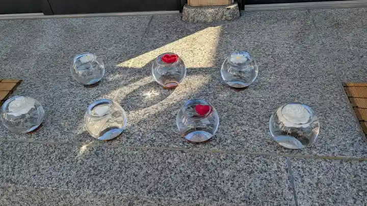 駒込妙義神社の{uncategorized: "未分類", other: "その他", undefined: "問題あり", building: "その他建物", grave: "お墓", sacred_gate: "鳥居", guardian: "狛犬", statue: "像", buddha: "仏像", history: "歴史", nature: "自然", garden: "庭園", animal: "動物", pagoda: "塔", temizu: "手水舎", mountain_gate: "山門・神門", sanctuary: "本殿・本堂", subordinate: "末社・摂社", art: "芸術", scenery: "景色", jizo: "地蔵", ema: "絵馬", goshuin: "御朱印", omikuji: "おみくじ", items: "授与品その他", amulet: "お守り", goshuincho: "御朱印帳", eats: "食事", festival: "お祭り", votive_dance: "神楽", shichigosan: "七五三参", wedding: "結婚式", experience: "体験その他", initially: "初詣", around: "周辺", anti_infection: "感染症対策"}