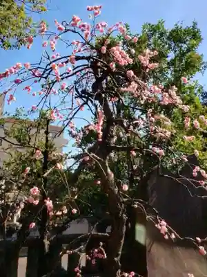 布多天神社(東京都)