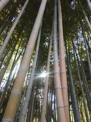 不知森神社(千葉県)