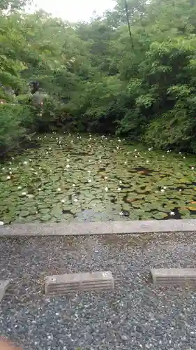 宇部観音千仏寺の景色