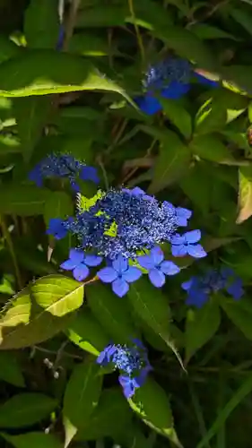 尊陽院(京都府)