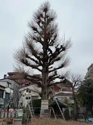 福王山  慈眼寺(東京都)