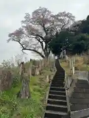 浅間神社(東京都)