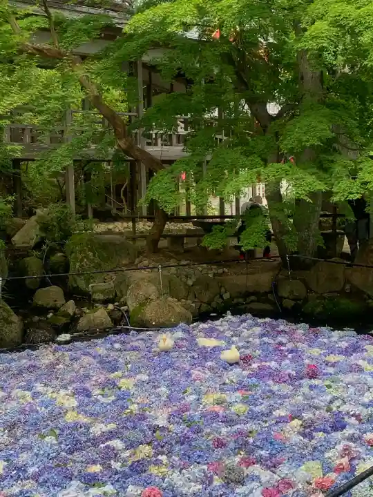 楽法寺(雨引観音)の{uncategorized: "未分類", other: "その他", undefined: "問題あり", building: "その他建物", grave: "お墓", sacred_gate: "鳥居", guardian: "狛犬", statue: "像", buddha: "仏像", history: "歴史", nature: "自然", garden: "庭園", animal: "動物", pagoda: "塔", temizu: "手水舎", mountain_gate: "山門・神門", sanctuary: "本殿・本堂", subordinate: "末社・摂社", art: "芸術", scenery: "景色", jizo: "地蔵", ema: "絵馬", goshuin: "御朱印", omikuji: "おみくじ", items: "授与品その他", amulet: "お守り", goshuincho: "御朱印帳", eats: "食事", festival: "お祭り", votive_dance: "神楽", shichigosan: "七五三参", wedding: "結婚式", experience: "体験その他", initially: "初詣", around: "周辺", anti_infection: "感染症対策"}