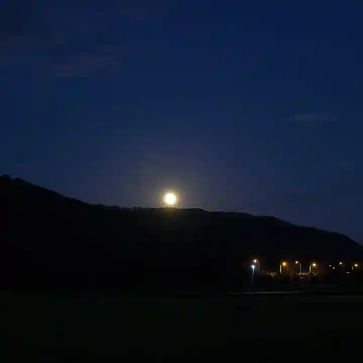 高司神社〜むすびの神の鎮まる社〜の景色