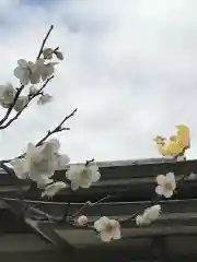 湯島天満宮の自然