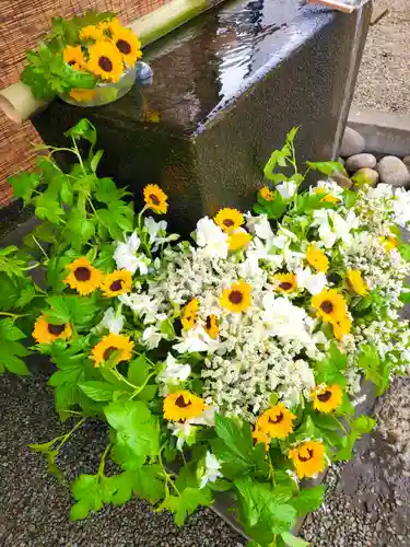 上尾御嶽神社の手水舎