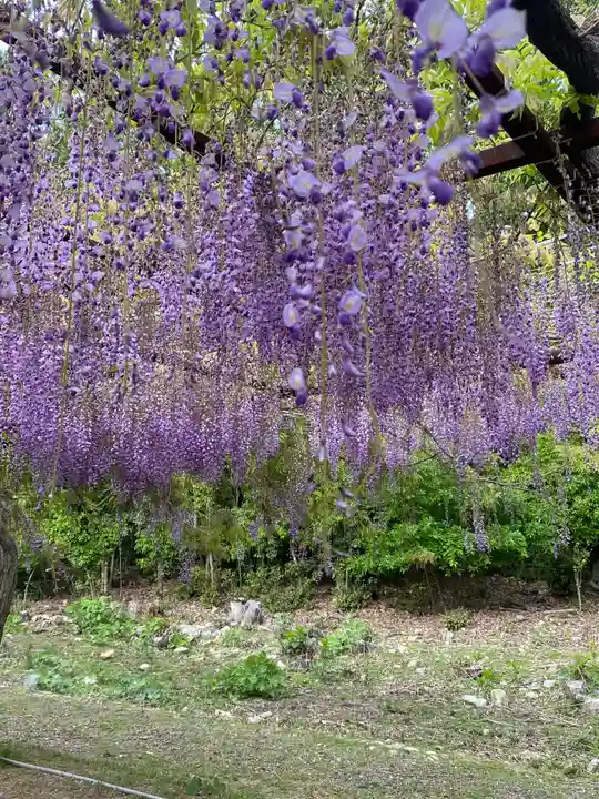和氣神社(和気神社)の庭園