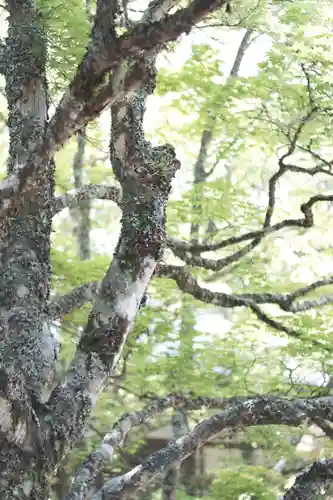 高野山金剛峯寺(和歌山県)