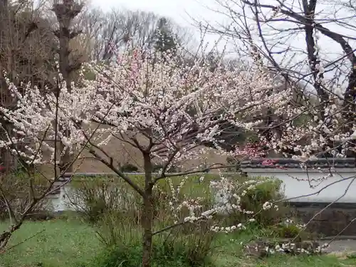 師岡熊野神社の御朱印