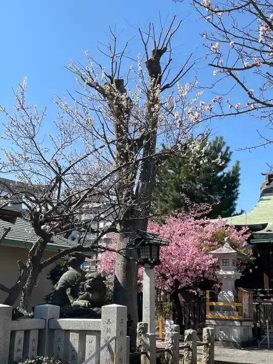 新宿下落合氷川神社の自然