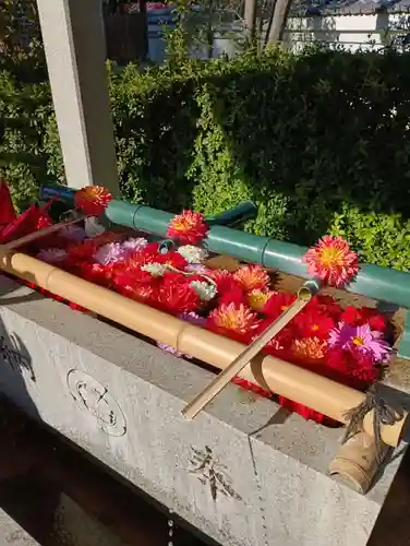 伊和志津神社(兵庫県)