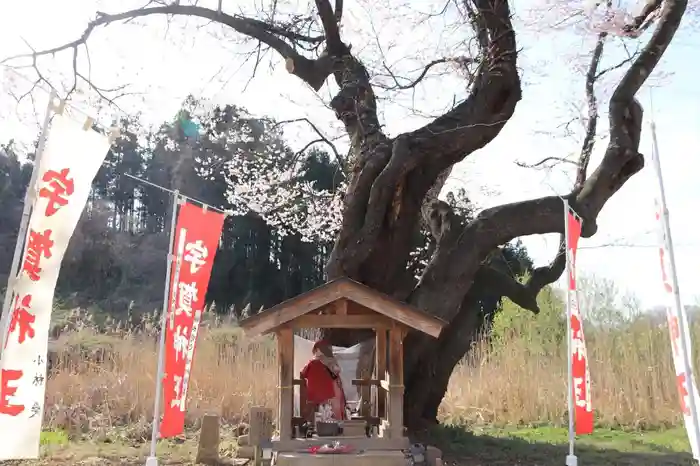 宇賀神さまの本殿