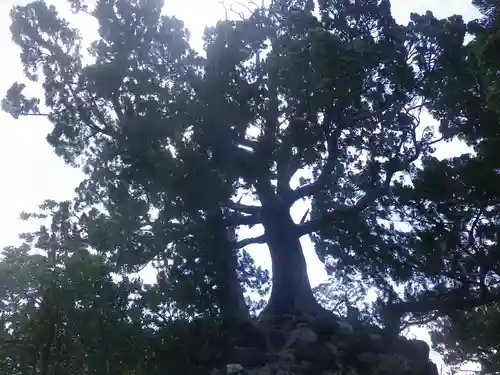 森戸大明神（森戸神社）の自然