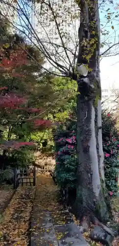 愛宕神社(東京都)
