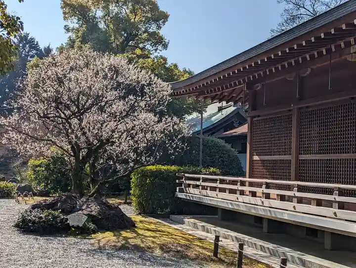 城南宮(京都府)