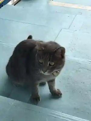 千光寺(広島県)