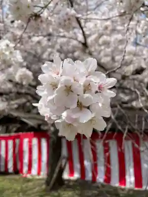 醍醐寺(京都府)