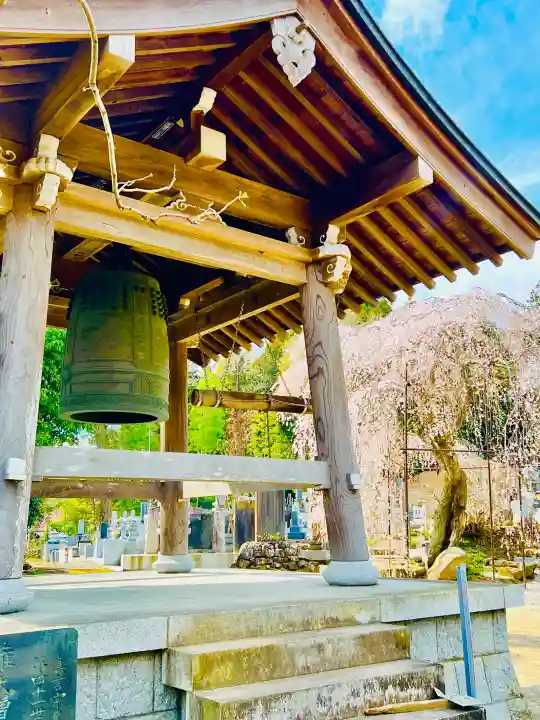 金剛寺の{uncategorized: "未分類", other: "その他", undefined: "問題あり", building: "その他建物", grave: "お墓", sacred_gate: "鳥居", guardian: "狛犬", statue: "像", buddha: "仏像", history: "歴史", nature: "自然", garden: "庭園", animal: "動物", pagoda: "塔", temizu: "手水舎", mountain_gate: "山門・神門", sanctuary: "本殿・本堂", subordinate: "末社・摂社", art: "芸術", scenery: "景色", jizo: "地蔵", ema: "絵馬", goshuin: "御朱印", omikuji: "おみくじ", items: "授与品その他", amulet: "お守り", goshuincho: "御朱印帳", eats: "食事", festival: "お祭り", votive_dance: "神楽", shichigosan: "七五三参", wedding: "結婚式", experience: "体験その他", initially: "初詣", around: "周辺", anti_infection: "感染症対策"}