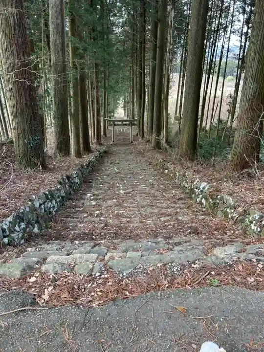 荒戸神社の{uncategorized: "未分類", other: "その他", undefined: "問題あり", building: "その他建物", grave: "お墓", sacred_gate: "鳥居", guardian: "狛犬", statue: "像", buddha: "仏像", history: "歴史", nature: "自然", garden: "庭園", animal: "動物", pagoda: "塔", temizu: "手水舎", mountain_gate: "山門・神門", sanctuary: "本殿・本堂", subordinate: "末社・摂社", art: "芸術", scenery: "景色", jizo: "地蔵", ema: "絵馬", goshuin: "御朱印", omikuji: "おみくじ", items: "授与品その他", amulet: "お守り", goshuincho: "御朱印帳", eats: "食事", festival: "お祭り", votive_dance: "神楽", shichigosan: "七五三参", wedding: "結婚式", experience: "体験その他", initially: "初詣", around: "周辺", anti_infection: "感染症対策"}