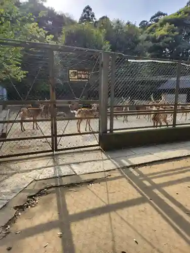 鹿島神宮(茨城県)