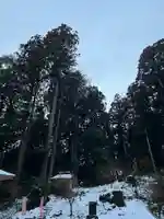 大宮温泉神社(栃木県)