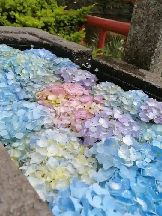 間々田八幡宮の手水舎