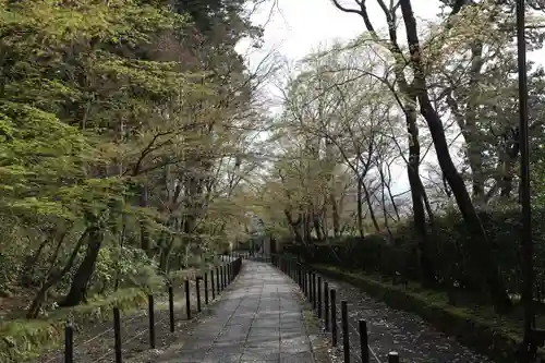 光明寺（粟生光明寺）(京都府)