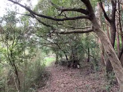 佐室浅野神社の自然