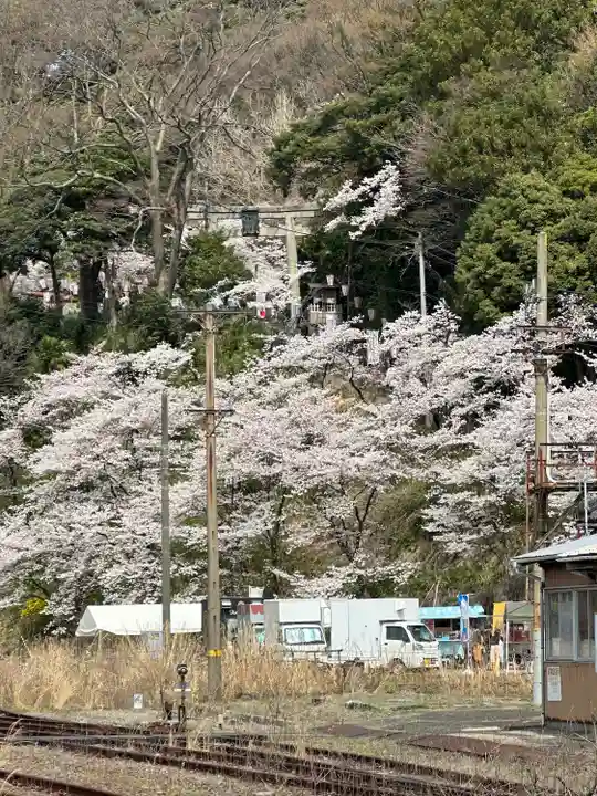 金崎宮(福井県)
