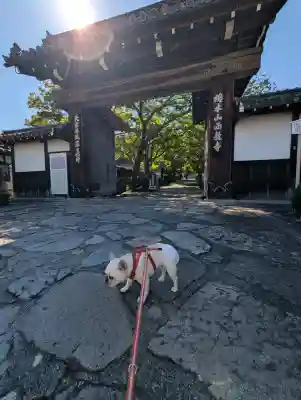 西教寺の{uncategorized: "未分類", other: "その他", undefined: "問題あり", building: "その他建物", grave: "お墓", sacred_gate: "鳥居", guardian: "狛犬", statue: "像", buddha: "仏像", history: "歴史", nature: "自然", garden: "庭園", animal: "動物", pagoda: "塔", temizu: "手水舎", mountain_gate: "山門・神門", sanctuary: "本殿・本堂", subordinate: "末社・摂社", art: "芸術", scenery: "景色", jizo: "地蔵", ema: "絵馬", goshuin: "御朱印", omikuji: "おみくじ", items: "授与品その他", amulet: "お守り", goshuincho: "御朱印帳", eats: "食事", festival: "お祭り", votive_dance: "神楽", shichigosan: "七五三参", wedding: "結婚式", experience: "体験その他", initially: "初詣", around: "周辺", anti_infection: "感染症対策"}