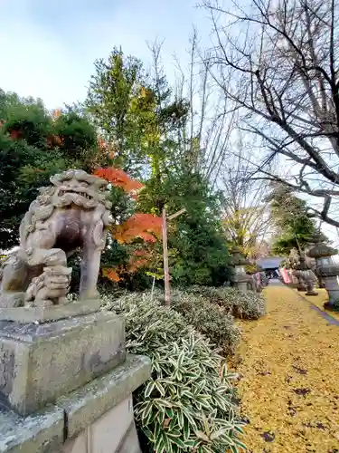 神炊館神社 ⁂奥州須賀川総鎮守⁂の狛犬