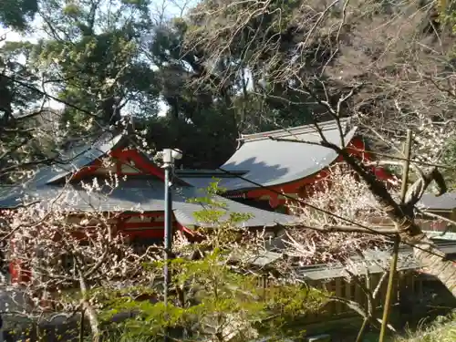荏柄天神社(神奈川県)