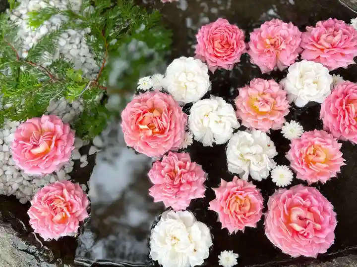 発寒神社の手水舎
