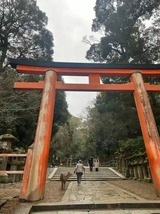 春日大社(奈良県)