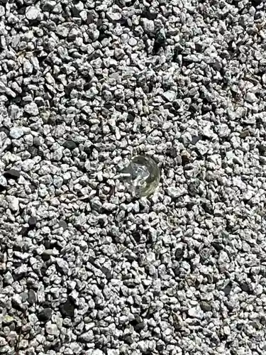 高台寺（高台寿聖禅寺・高臺寺）(京都府)