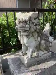 白山神社（中郷）の狛犬