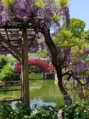 亀戸天神社(東京都)