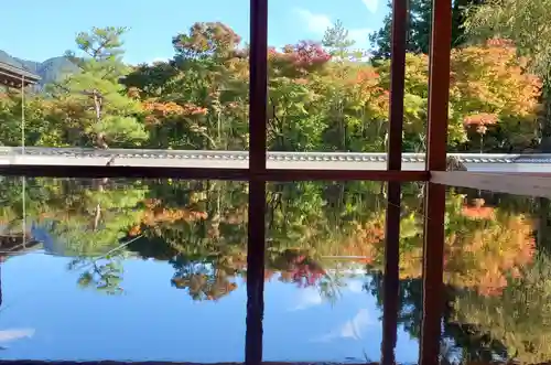 宝徳寺(群馬県)